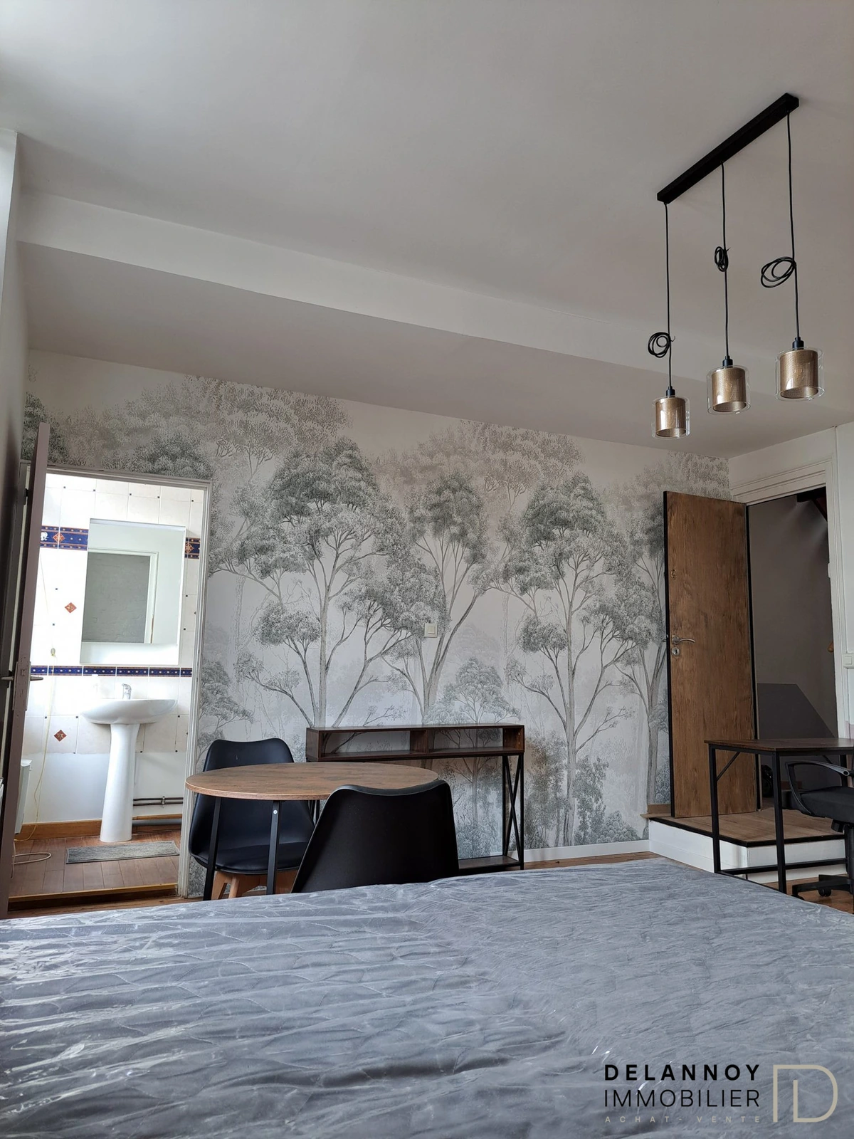 Photo 14 de maison à Lille